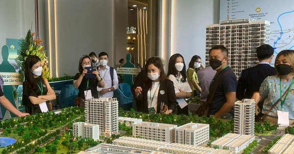 Loạt doanh nghiệp bất động sản ‘vượt khó’ nhờ doanh thu tài chính