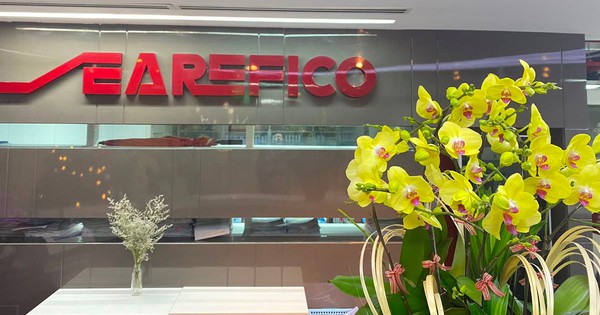 Lãi ròng Searefico (SRF) tăng gấp đôi sau soát xét