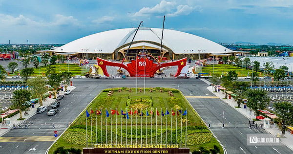 VEFAC muốn tạm ứng cổ tức tiền mặt tỷ lệ 330%