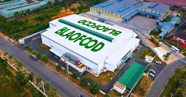 Công ty Việt Nam đầu tiên xuất khẩu rau củ đông lạnh muốn niêm yết  trên HOSE, giá cổ phiếu vượt đỉnh lịch sử