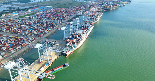 Viconship lãi 456 tỷ đồng sau 9 tháng đầu năm, tăng gần 50% so với cùng kỳ