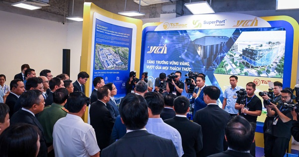 Giải mã Nền tảng Kết nối Logistics cho các doanh nghiệp vừa và nhỏ