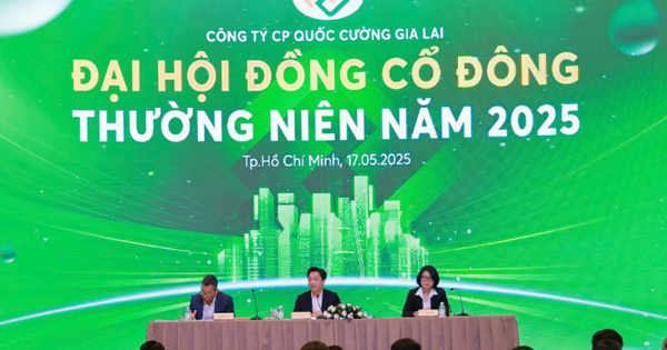 Quốc Cường Gia Lai tăng mạnh vay tiền của người thân lãnh đạo, đã trả 900 tỷ đồng cho Sunny Island