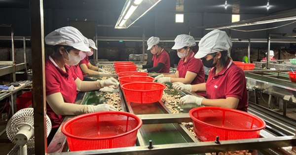 Tăng sức cạnh tranh cho doanh nghiệp Việt