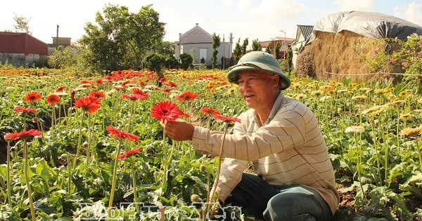 Anh nông dân lãi 1,2 tỷ đồng từ loài hoa hễ hé nụ là có người tới “cướp”