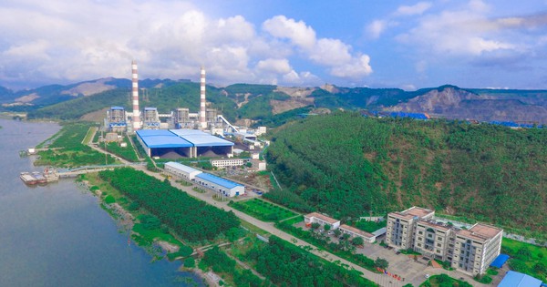 Chủ tịch Nhiệt điện Quảng Ninh lên tiếng về việc Phó Tổng Giám đốc kiêm Thành viên HĐQT bị khởi tố, bắt tạm giam