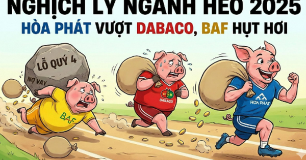 Cứ 100 đồng tài sản, Nông nghiệp Hòa Phát thu về 34 đồng lãi, hiệu suất “không đối thủ” khiến Dabaco và BAF phải hít khói