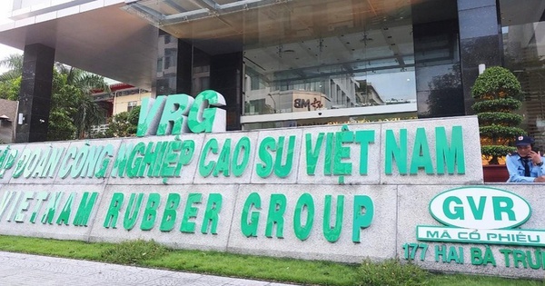 Một số công ty con của GVR thua lỗ, rủi ro mất vốn nhà nước