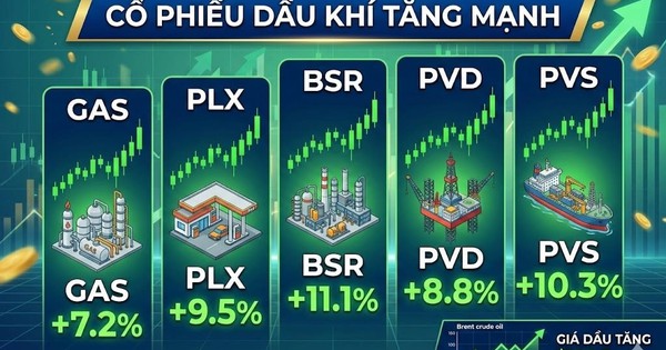MBS: Xung đột Trung Đông, nguy cơ tại eo biển Hormuz tác động mạnh, cổ phiếu dầu khí và năng lượng nhanh chóng tăng kịch trần