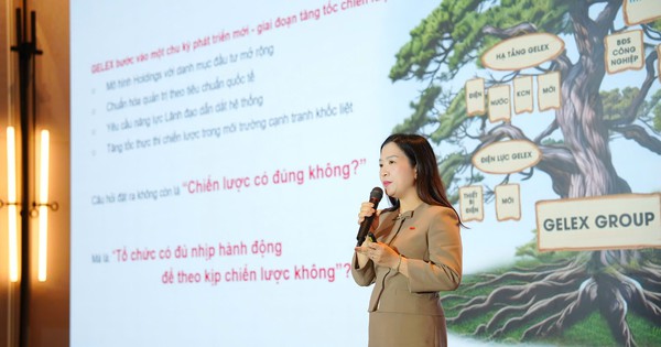 Lãnh đạo tập đoàn nghìn tỷ bị thu điện thoại: Chuyện lạ ở GELEX và cú vặn mình từ 18% lên 88% sau 180 ngày tái thiết