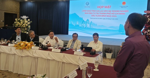 Gia Lai chọn 6 doanh nghiệp quy mô tỉ USD để xây dựng thương hiệu quốc tế