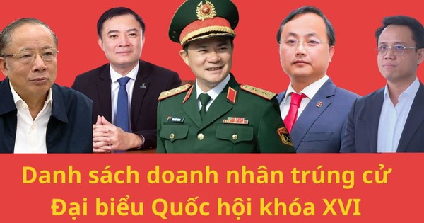 Những doanh nhân trúng cử Đại biểu Quốc hội khóa XVI: Người trẻ nhất SN 1994 đến từ Becamex, lớn tuổi nhất là 2 chủ tịch U80