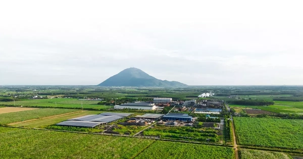 Công ty hạt nhân Tập đoàn TTC đăng ký bán ra hơn 43 triệu cổ phiếu SBT