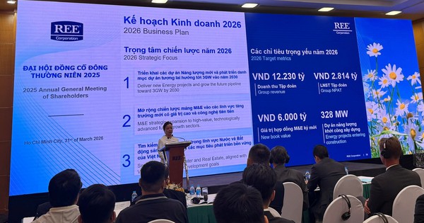 Chủ tịch Nguyễn Thị Mai Thanh: Các nhà máy điện của REE đang chạy hết công suất, mục tiêu doanh thu kỷ lục hơn 12.000 tỷ