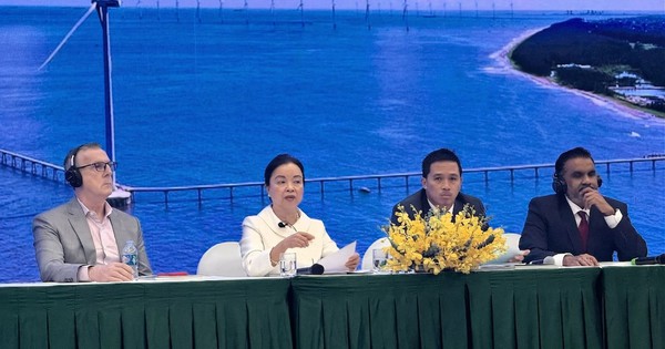 Đầu tư dự án hàng tỷ đô la nhưng bán điện thu VND, Chủ tịch REE chỉ ra rủi ro khiến các dự án điện gió gặp khó