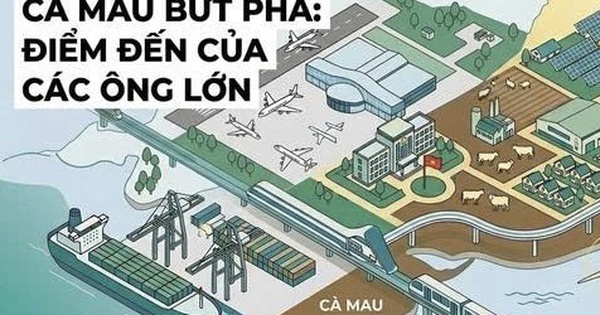 Vingroup, T&T, Xuân Thiện và dòng vốn ngoại tỷ USD: Lộ diện chuỗi dự án tái định hình kinh tế Cà Mau