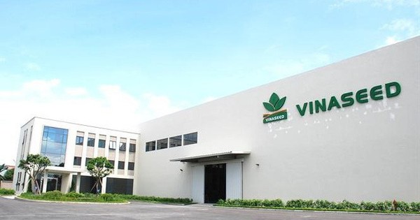 Giáo sư Trần Đình Long kiến nghị trồng loại cây gọi là “vàng mọc trên đất” tại ĐHCĐ công ty của ông Trần Duy Hưng